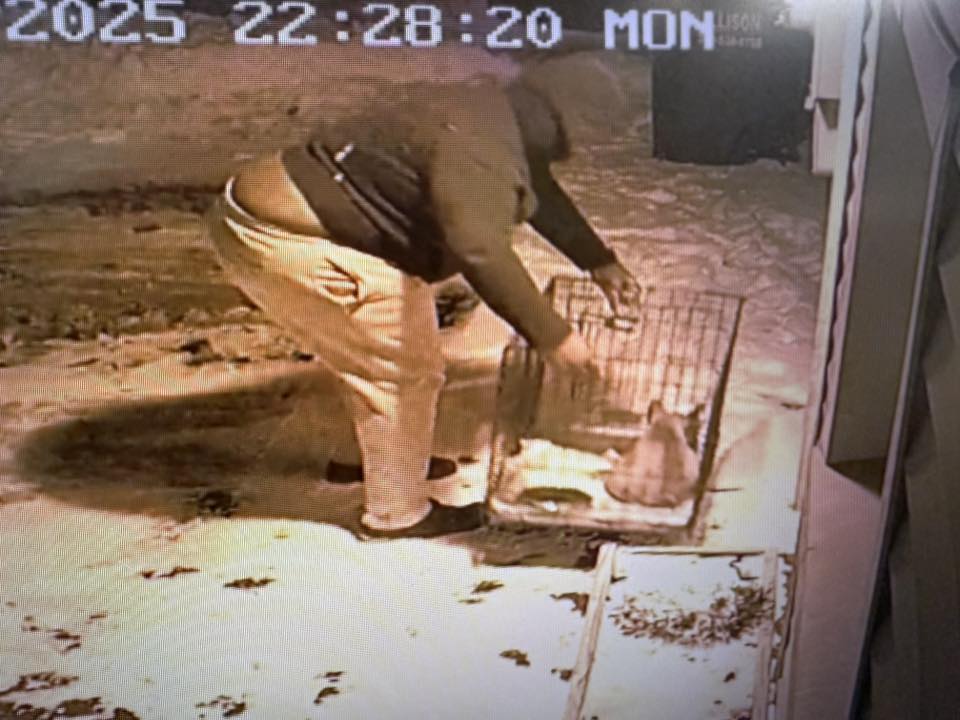 Dog Warden, Animal Charity asking for help identifying man who dropped off seriously injured dog in Boardman